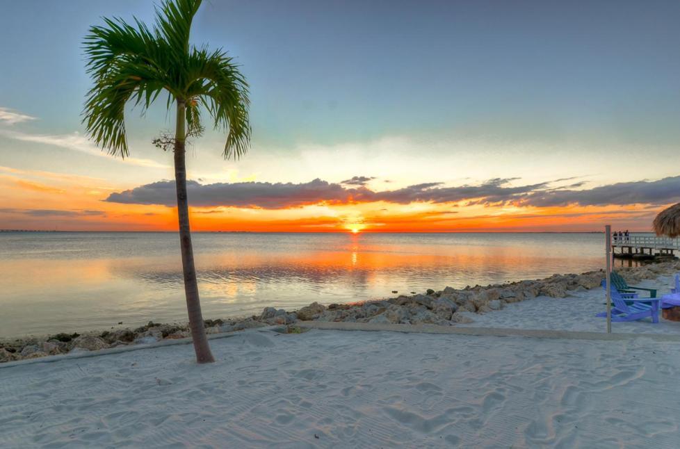 412-Amazing Views, Waterfront, Wifi, Pool, Close To Bucs Stadium Tampa Exterior foto